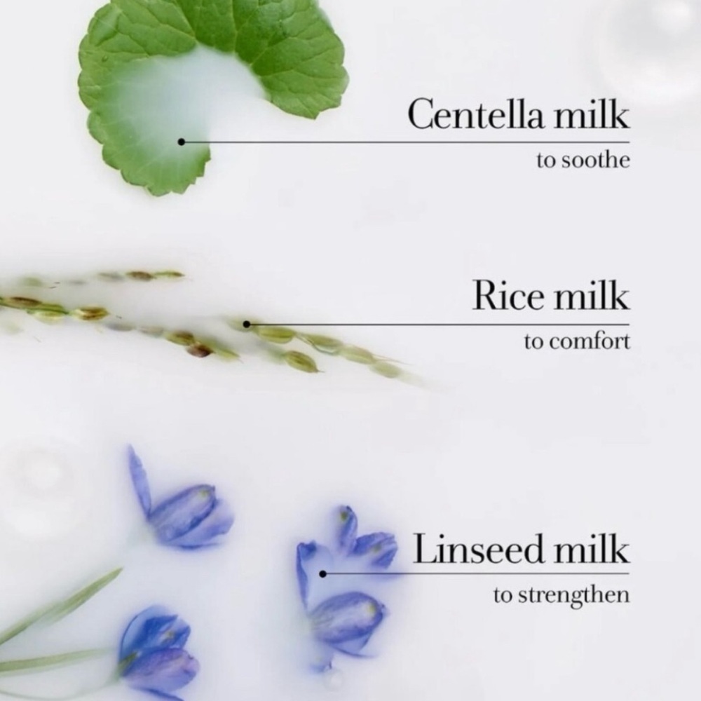 Fresh Milk Moisturizing Body Lotion 8.7 Soft, Smooth, and Radiant Skin Full Size - Picture 4 of 5